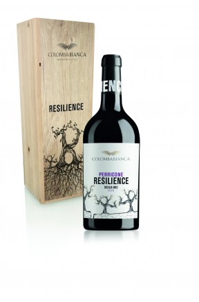 Resilience Perricone - Magnum 1,5 L