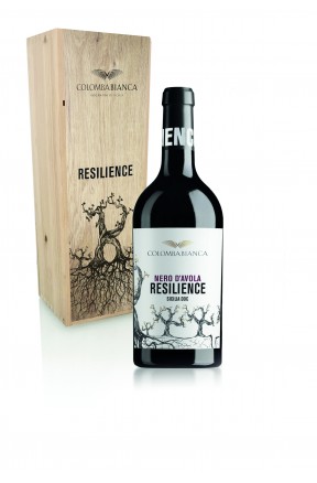 Resilience Nero D'Avola -  Magnum 1,5 L